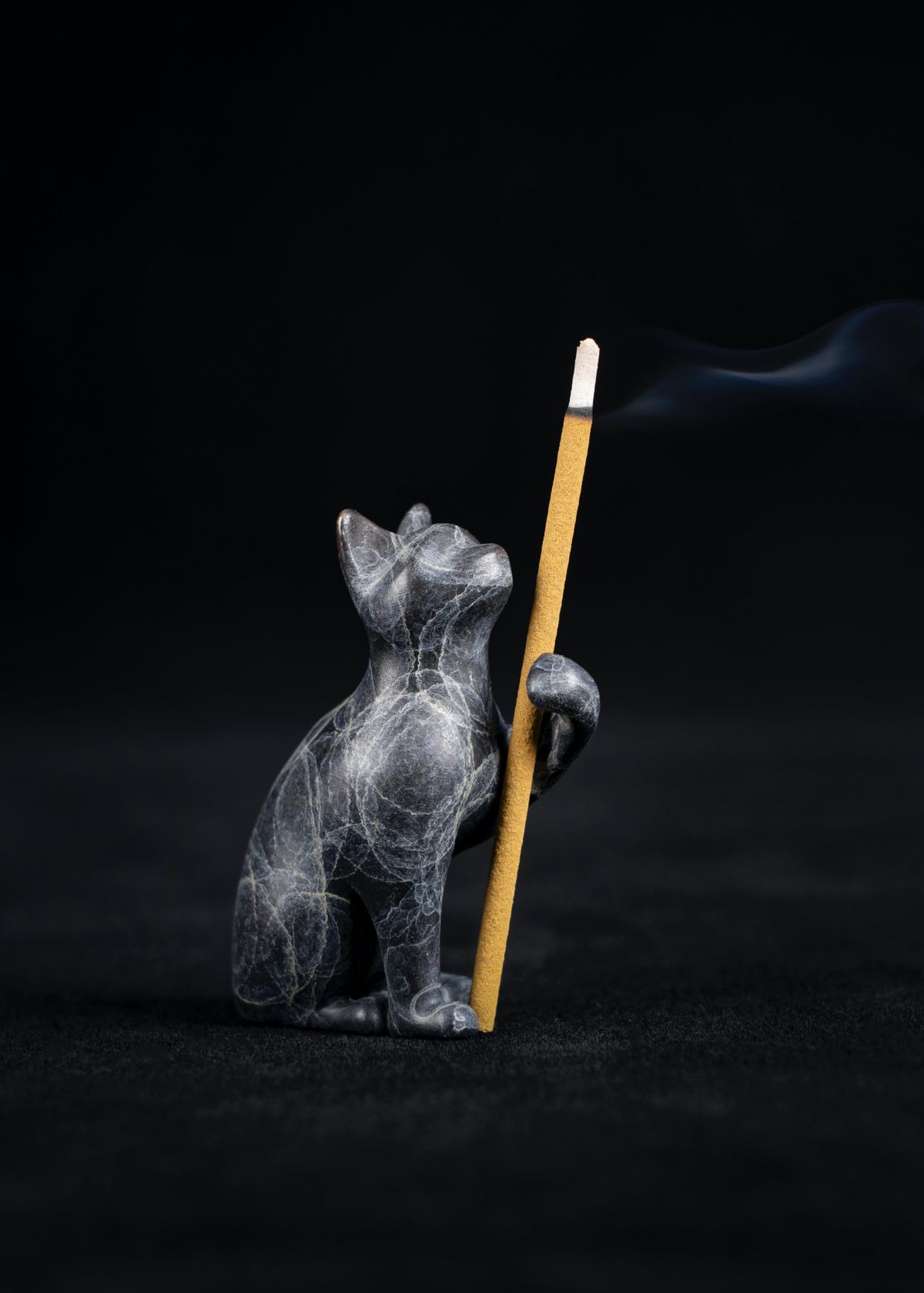 A Caution for Pet Owners Is Incense Bad for Cats? Gosp News